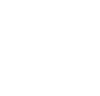 identity vault icon